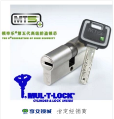 模帝樂MT5進(jìn)口鎖芯系列 模帝樂MT5進(jìn)口鎖芯系列