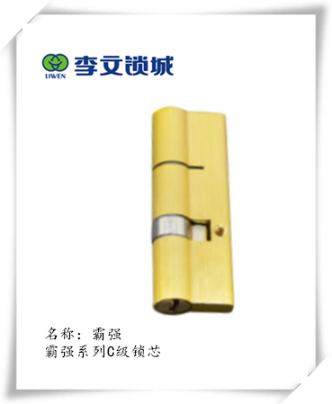 霸強電腦鎖芯系列 霸強電腦鎖芯系列